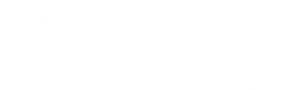 Sports logo
