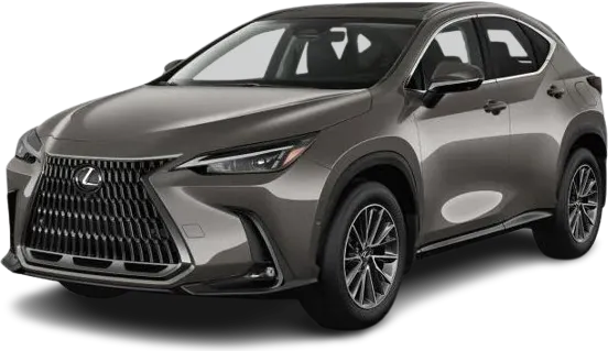 NX